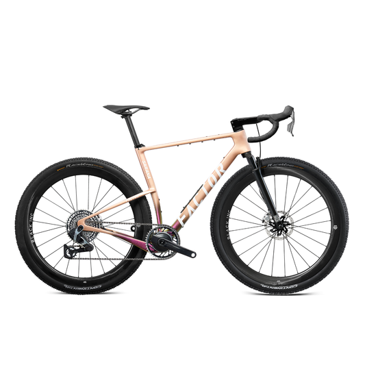 Factor Sarana Bike