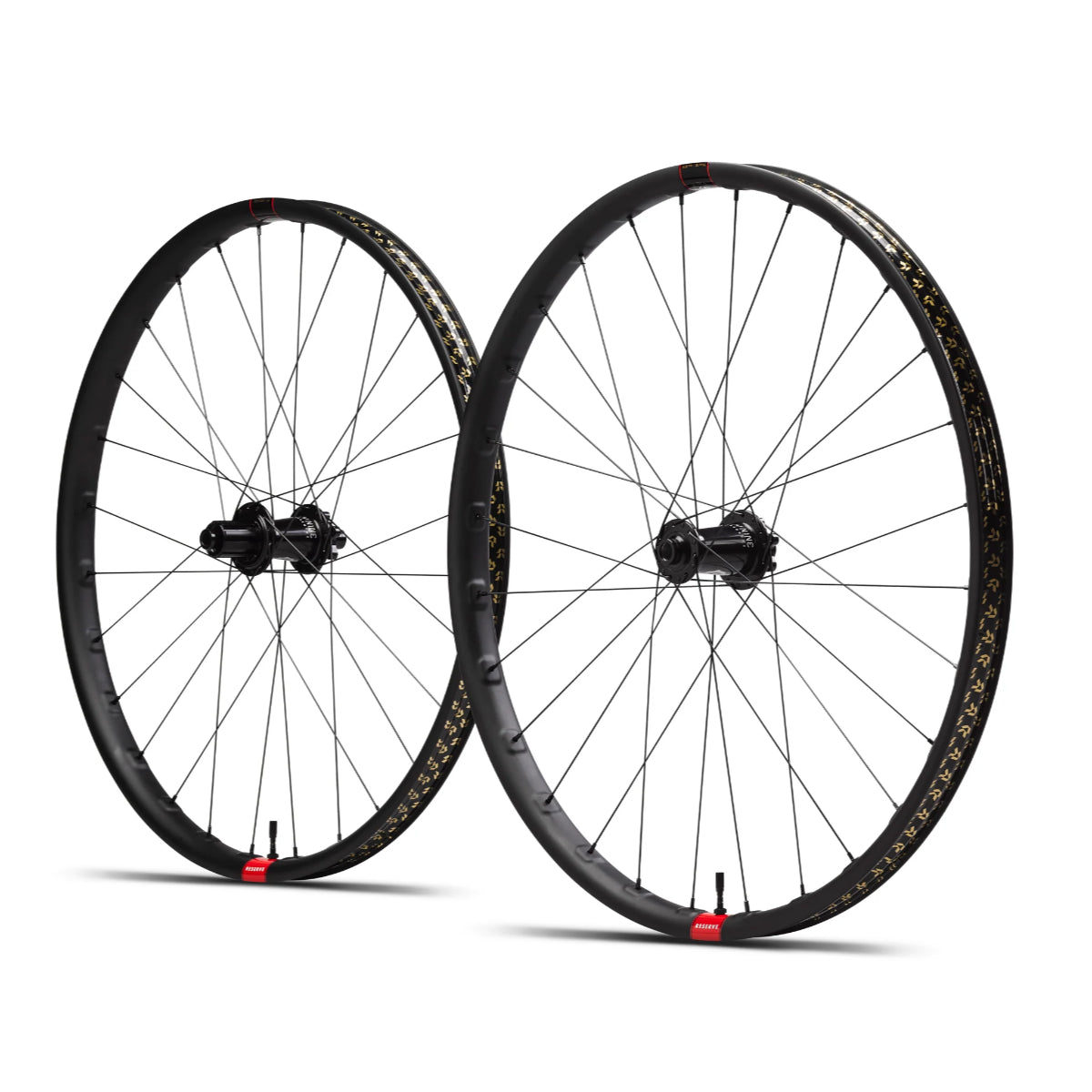 Reserve 30 HD 29 Carbon Wheelset inc Fillmore Valves - CS